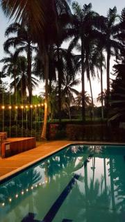 Palmary Tropical - Melgar - 9