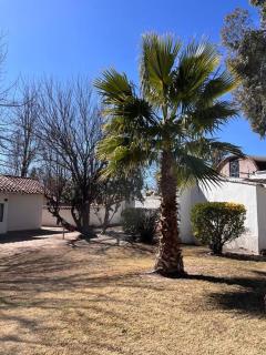 Grandiosa casa en el corazón de Chacras - Chacras de Coria - 6