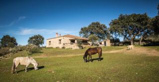 Casa Rural La Vega - San Vicente de Alcántara - 8