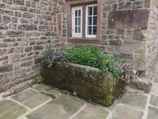 Stoney Cliffe Farm - Leek - 8