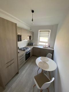 Luxury & Cozy Apartment - Maurer Residence Tg-Mureș - Târgu-Mureş - 3