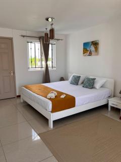 Palm Green Villa - Grand-Baie - 3