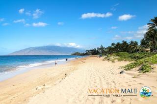 Kamaole Nalu 301 - Stunning Ocean Views, Renovated - Kihei - 1