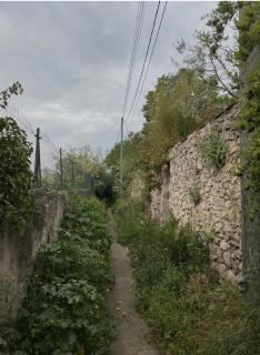 Charmant Studio avec terrasse, proche plage et ville - 3