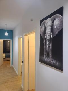 My Apartments Skerdi #centre - Tirana - 5
