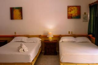 Hotel Vista Caribe 5ta Av a 5 Pasos de la Playa - Playa del Carmen - 1