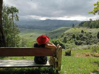 Drakenzicht KZN - Winterton - 5