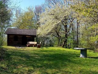 Lovely apartment in Hesse - 5