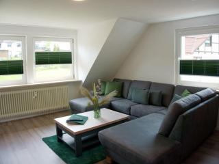 Classy apartment in Bad Sachsa - Bad Sachsa - 9