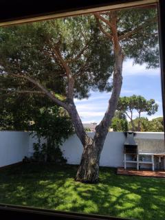 El Vivero - Chiclana de la Frontera - 4