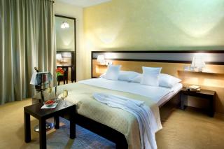 Boutique Hotel Dubná Skala - Žilina - 9
