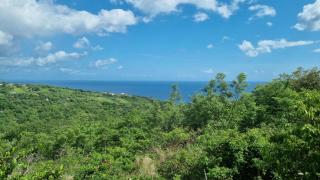 Lauramar Avocado - Vue Mer et Montagne - Le Morne aux Bœufs - 2