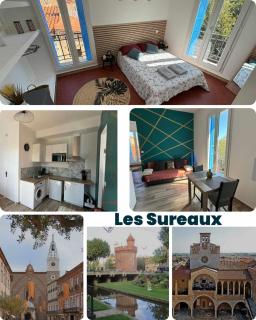 cosy T2- Les sureaux - Perpignan - 0
