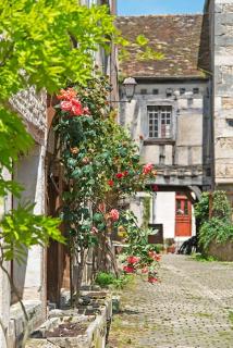 Petite Maison centre du village - Noyers-sur-Serein - 3