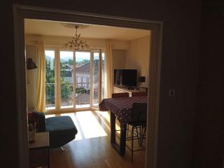 Appartement 83 m2 rénové - Remiremont - 3