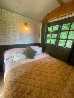 The Nest - Mountfield - 1