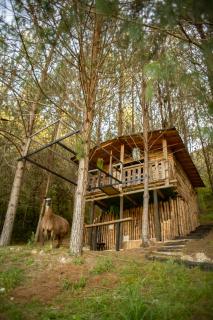 Refugio Natural Guarne - 6