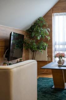 ZlatiborView Apartment 2 - Zlatibor - 8