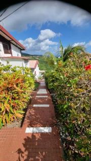 Lauramar Mangue - Vue Mer et Montagne - Le Morne aux Bœufs - 6