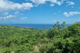 Lauramar Mangue - Vue Mer et Montagne - Le Morne aux Bœufs - 1