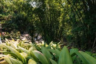 Sítio Toledos em Guapimirim com acesso direto a Cachoeira - Guapimirim - 1
