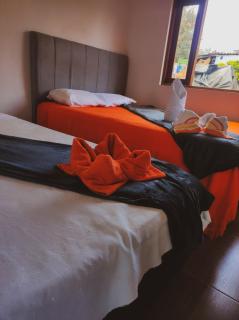 La casita de Elvia - 2