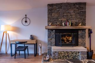 Spacious Central Executive 4 Bedroom Apartment - Queenstown - 1