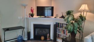Nice Condo on Nature Preserve - Dublin - 2