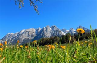 Pension Sonneck - Pfarrwerfen - 1