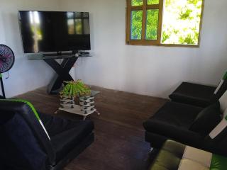 Caribean campestre - Calao - 4