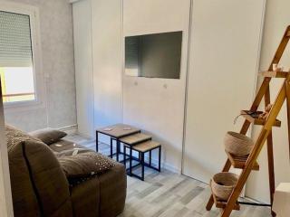 Appartement F2 rénové centre-ville Amélie-les-Bains - FR-1-703-192 - 9