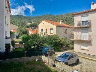 Appartement F2 rénové centre-ville proche cures - FR-1-703-192 - Amélie-les-Bains-Palalda - 3