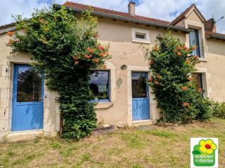 Deux maisons berrichonnes avec jardin privatif et cour partagée, idéale pour les groupes - FR-1-591-617 - Thenay - 5