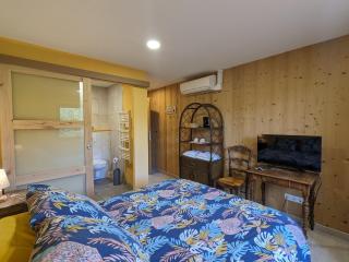 Chambre climatisée avec salle d'eau privative et accès jardin - FR-1-589-664 - Rehaupal - 9