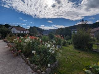 Chambre climatisée avec salle d'eau privative et accès jardin - FR-1-589-664 - 7