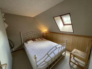 Duplex moderne avec balcon, proche pistes, 2 chambres - FR-1-787-77 - Laveissière - 9