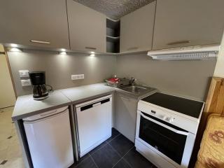 Duplex moderne avec balcon, proche pistes, 2 chambres - FR-1-787-77 - Laveissière - 5