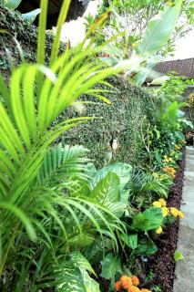Arida House Ubud by Bali Cabin - Ubud - 7