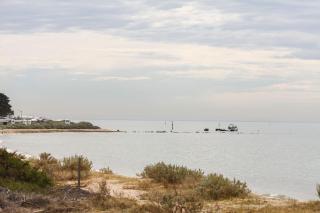 Beach Life - Indented Head - 9