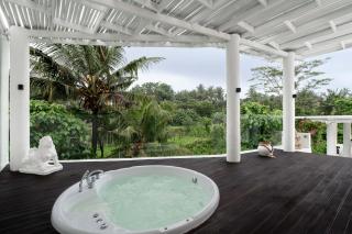 Exclusive 3BR Celebrity Villa - Ice Bath - Sauna - Jacuzzi - Outdoor Gym - BBQ - Stunning Rice Field & Jungle Views - Ubud - 7