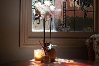 Rapunzels Cottage 1br Fairytale Studio Stay - Ballarat - 1