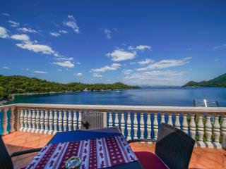 Apartments Filipovi - One Bedroom Apartment with Terrace and Sea View A3 - 9