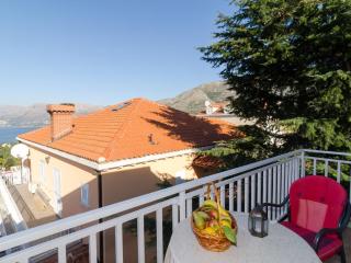 Apartments Senjo - Studio Apartment with Balcony and Sea View Apartman 2 - Cavtat - 1