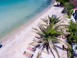 Apartments Dalmatin uljana - Studio Apartment 1 - 4