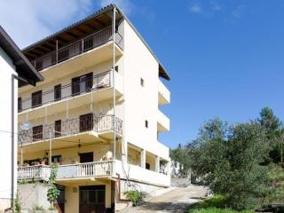 Apartments Dalmatin uljana - Studio Apartment 1 - Žuljana - 6