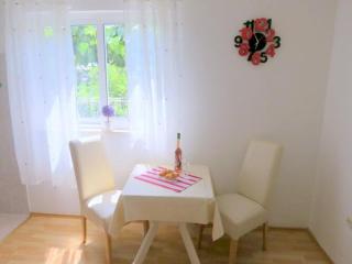 Apartments Franka - Studio with Terrace and Sea View A2 - Dubrovnik - 5