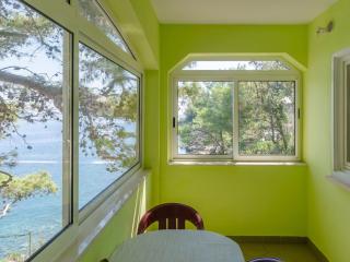Seafront Apartments Olivera-One Bedroom Apartment with Balcony and Sea View Ante - Vela Luka (Vallegrande) - 8