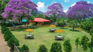 Summit Green Lake Tea Resort & Spa - Kāziranga - 1