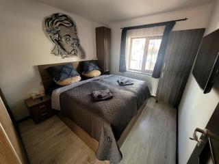 Soccec Art Apartment - Braşov - 5