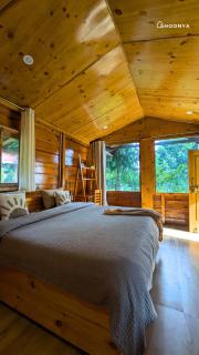 Shoonya Mukteshwar - 1